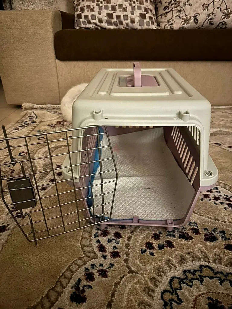 Cat Carrier for sale