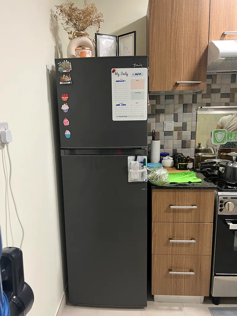 Terim Refrigerator Fridge for Sale