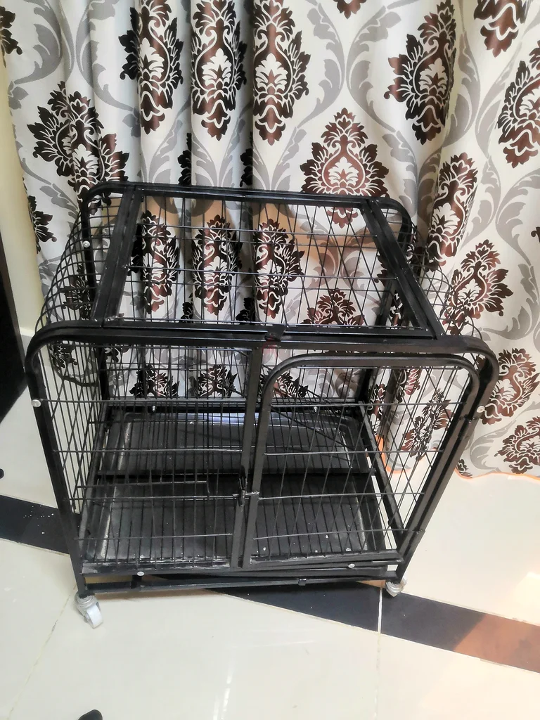 Cat cage دوبيزل