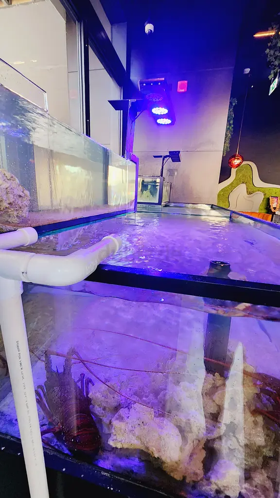 Massive Aquarium for sale