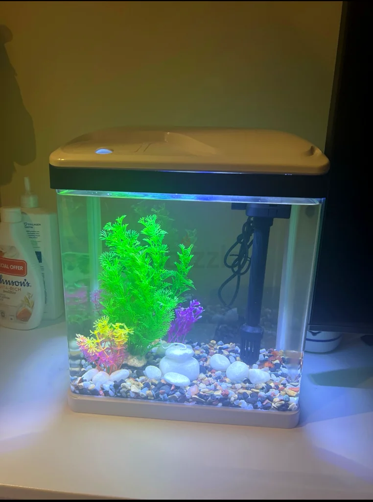 Aquarium with filter and light inbuilt for sale