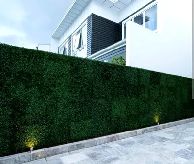 Artificial Privacy Hedge Fence