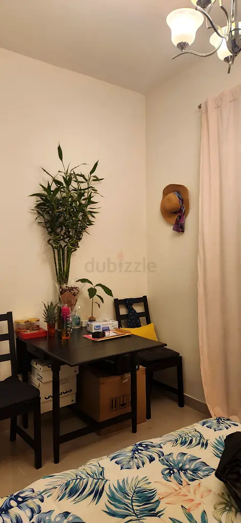 IKEA Foldable Table + 2 Chairs