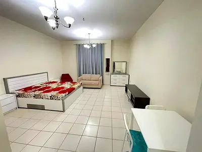 Amazaing Fully Furnished On Monthly 3300 X Or Quarterly Payment Options For Rent