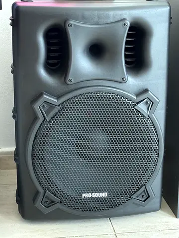 Pro Sound 15 inch speakers pair