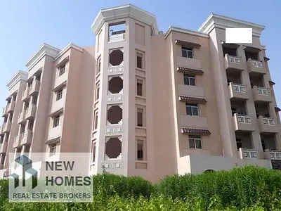 Large Shop For Sale In China Cluster / International City