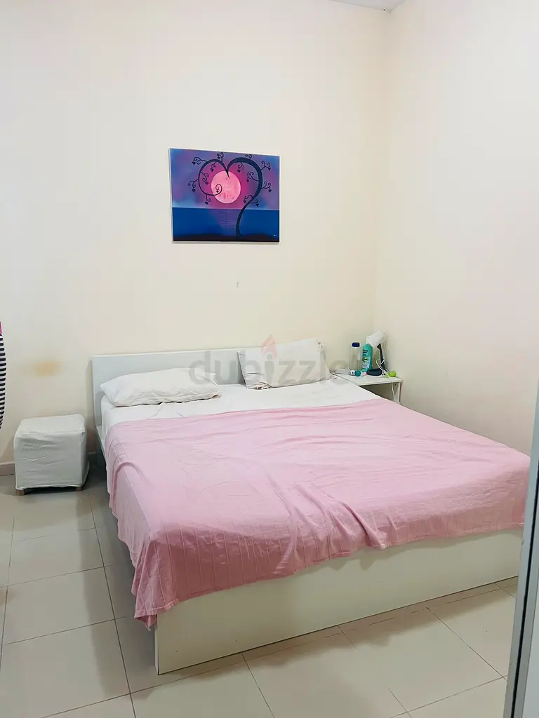 Apartment Executive Master Bedroom For Rent Indian Bachelor’s