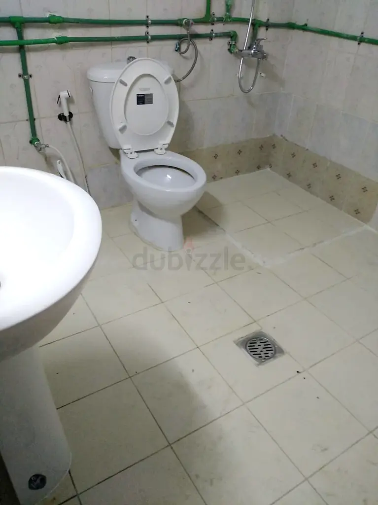 Apartment 1 Bed space available Indian male, 01/10 to near al wahda