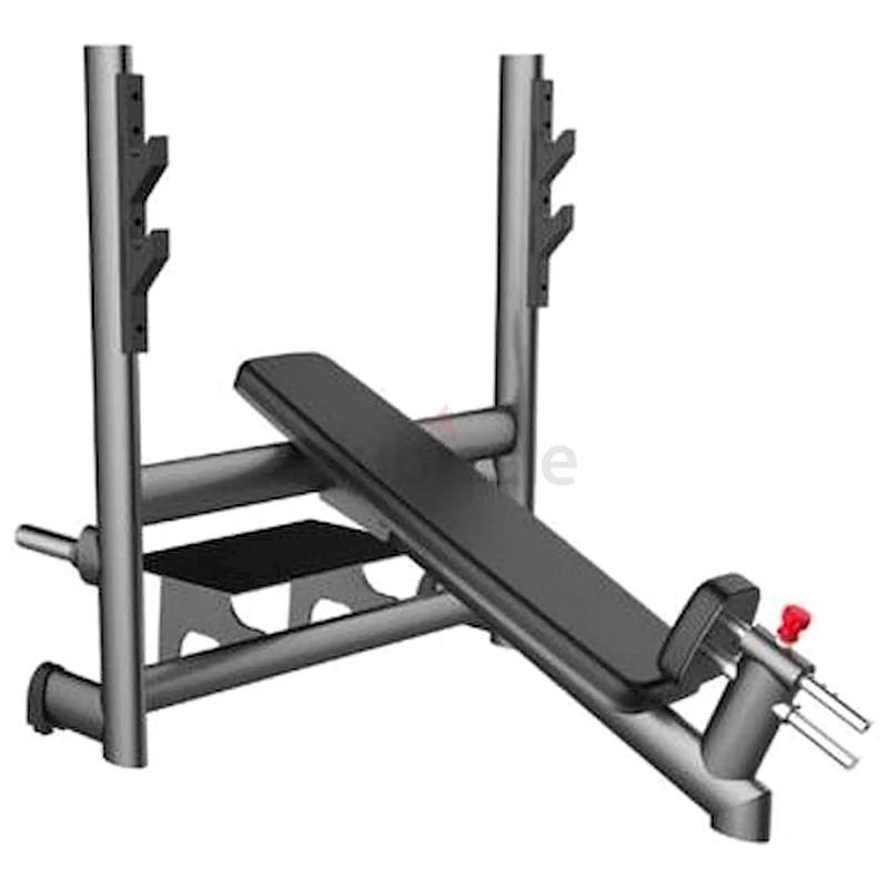 Gym80 Incline Bench - Model Cn00400963266084526083111