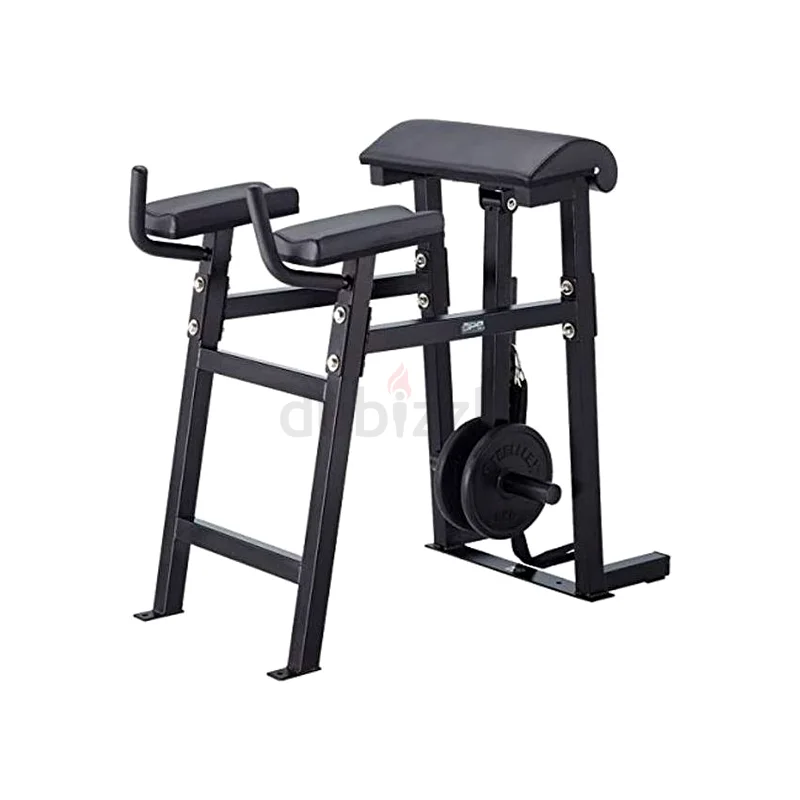 Reverse Hyper Bench-Ape Series Rh-1632650992875541127