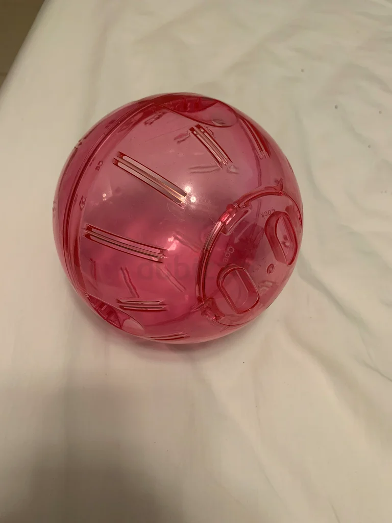 Hamsters ball629316806624011112