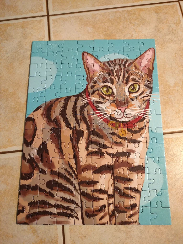 Puzzle - kids - double sided (100 pieces)63263499512834113
