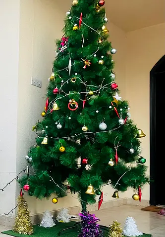 Christmas tree for sale