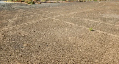 For Sale Golden Price Industrial Plot 87 Dh Sq Ft Emirates Industrial City