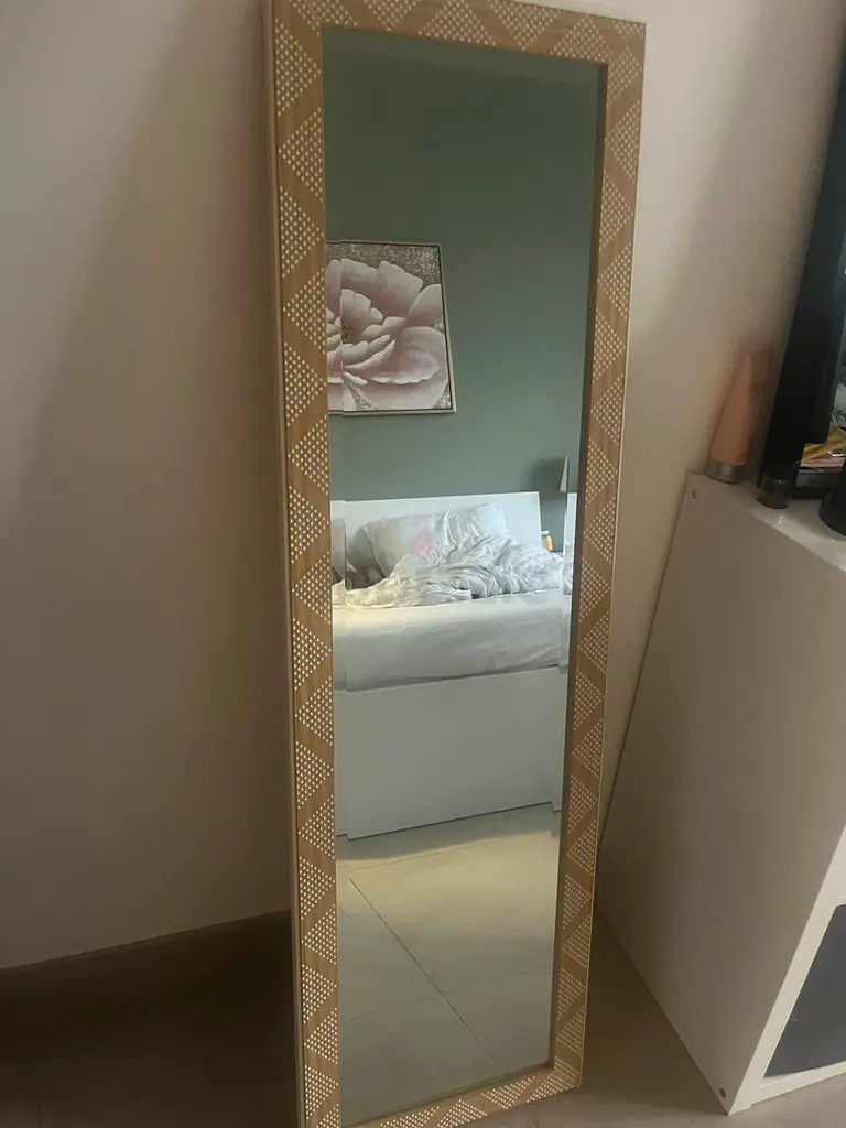 mirror long length