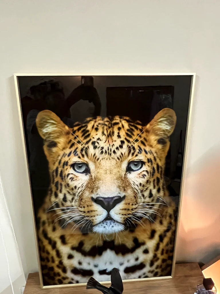 Rumble Printed Framed Glass Wall Art Leopard
