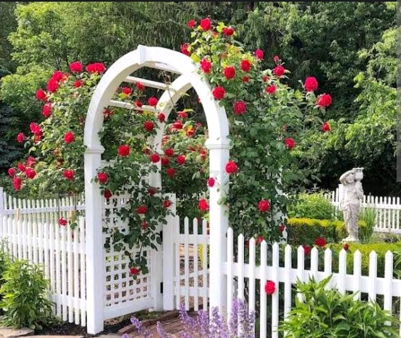 Wooden Garden Fence63220323874947113