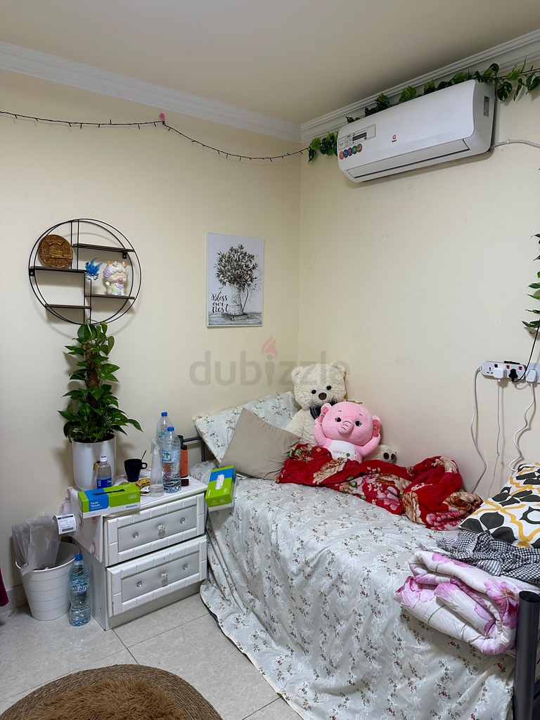 Apartment: Ladies Room Near Al Wahdha Mall, Abu Dhabi. | dubizzle Abu Dhabi