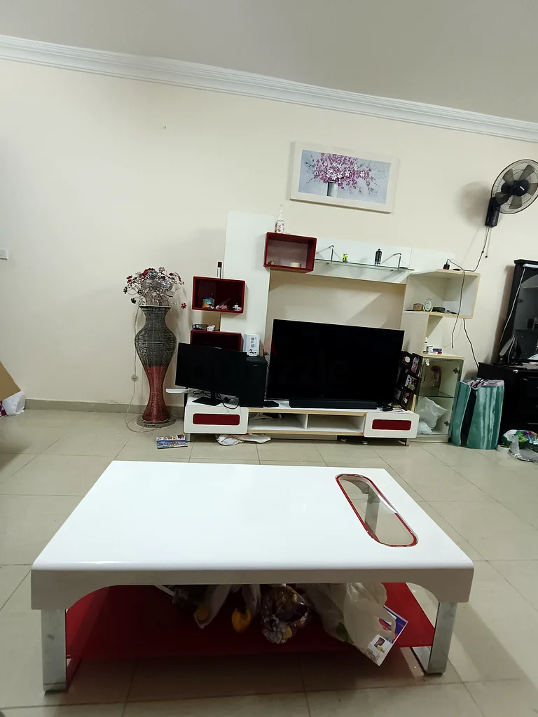 Red Elegant Home Centre TV with storage