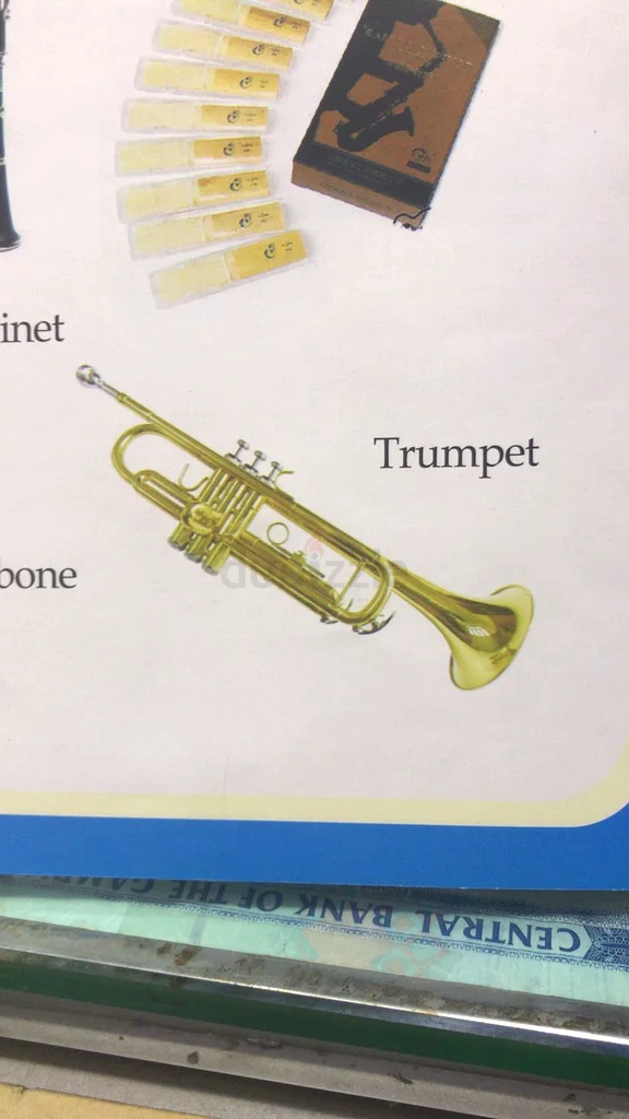 Trumpet63227805070721111