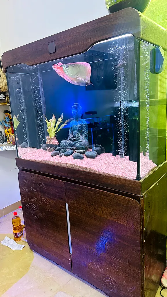 Aquariums for sale
