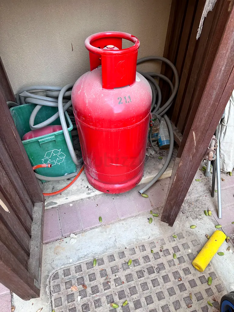 Gas Cylinder and Regulator
