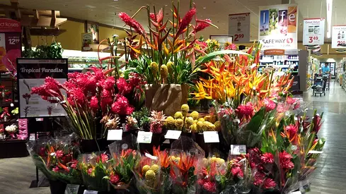 Flower Shop For Sale At Khalidiyah Mall