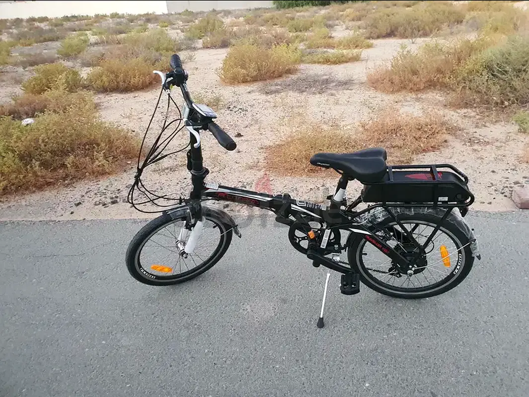 Electric scooty bike with removable battery(36v foldable)