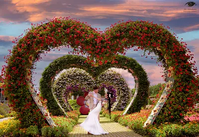 Best pictures Photographer/Editor in UAE.