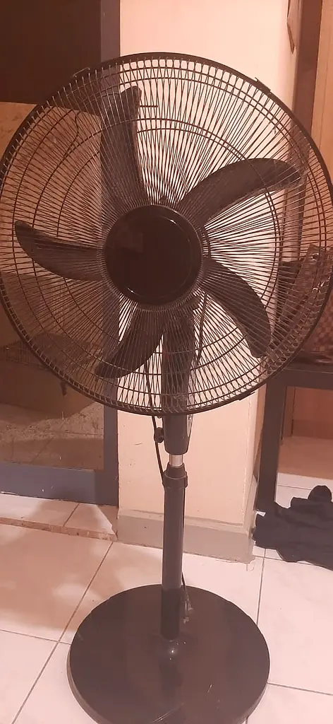 Standing Fan Black