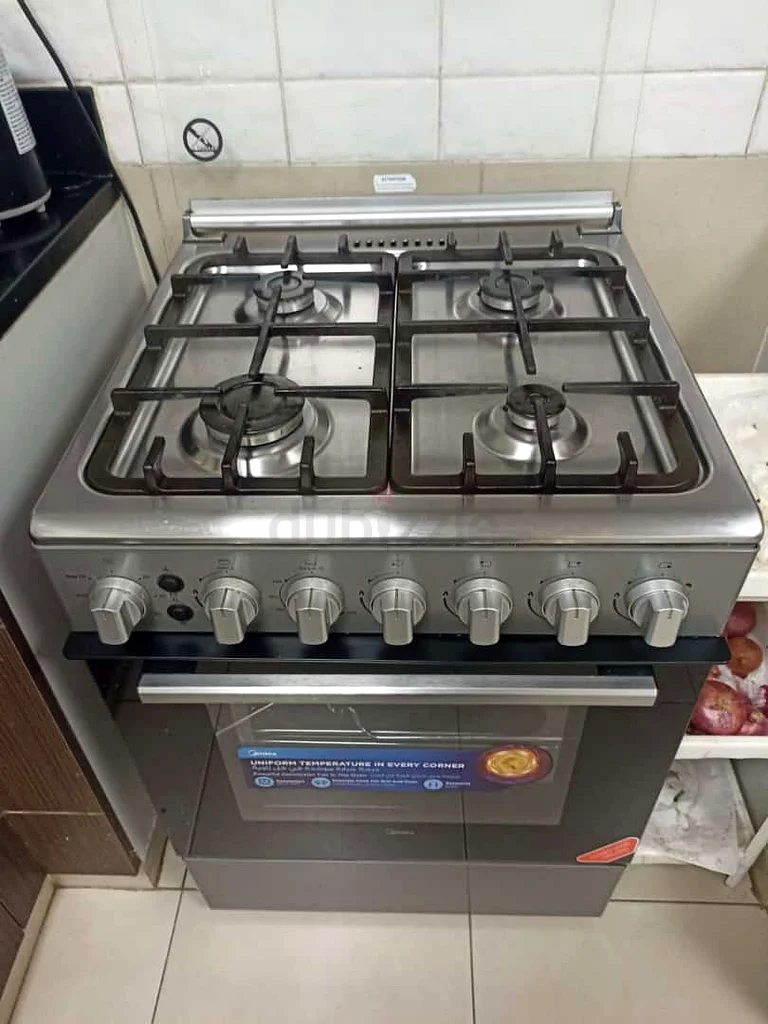 Gas stove