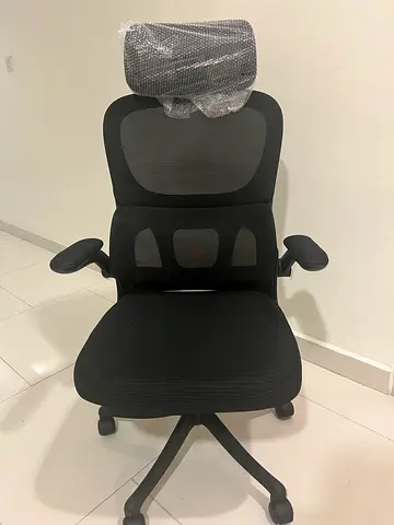 Office mesh chair with lumber support