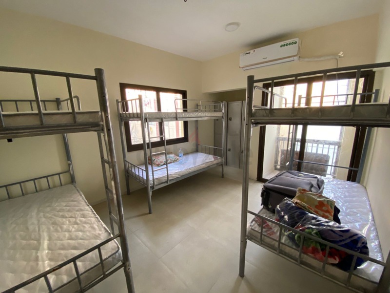 Apartment: Executive Bedpace Available Near Sharafdg Metro Station With 