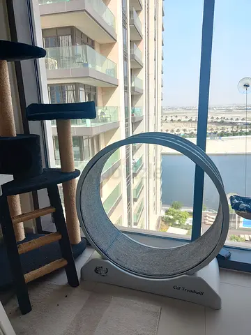 Cat Fitness Treadmill - Silent Running Wheel