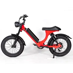 frame size 14 bike