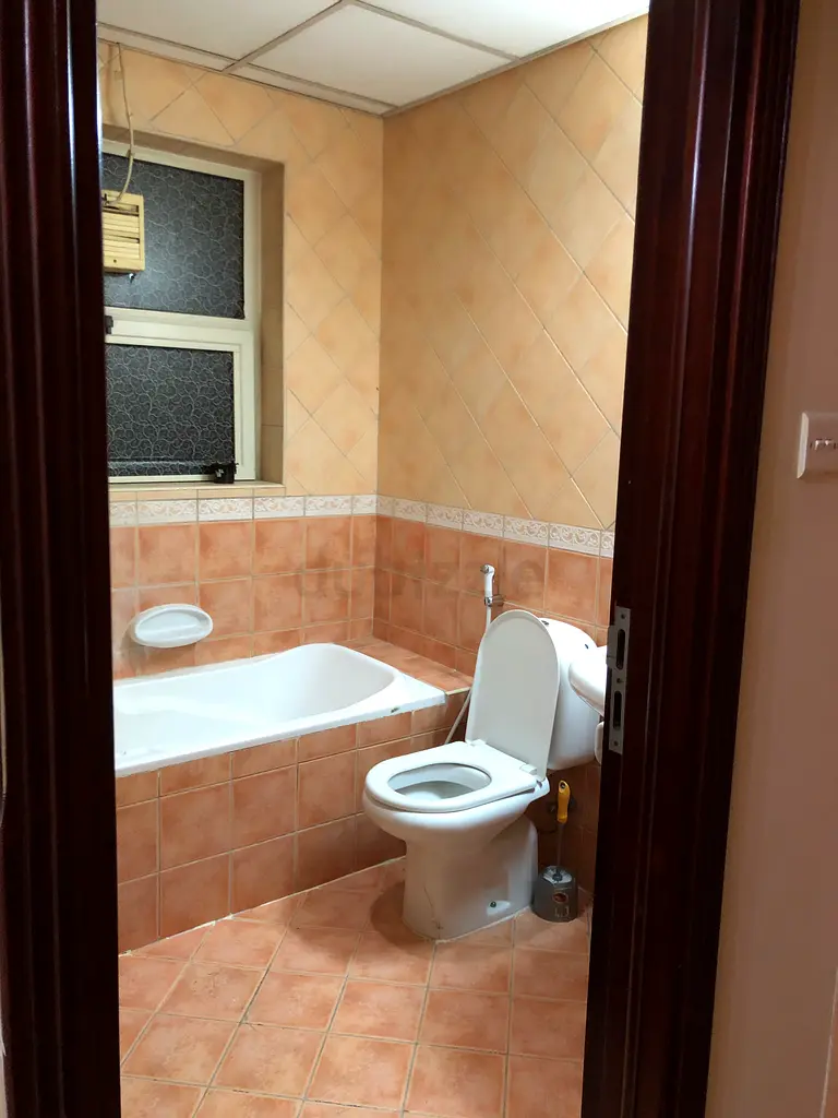 Apartment AVAILABLE MASTER ROOM IN AL NAHDA 2 DUBAI Dubai