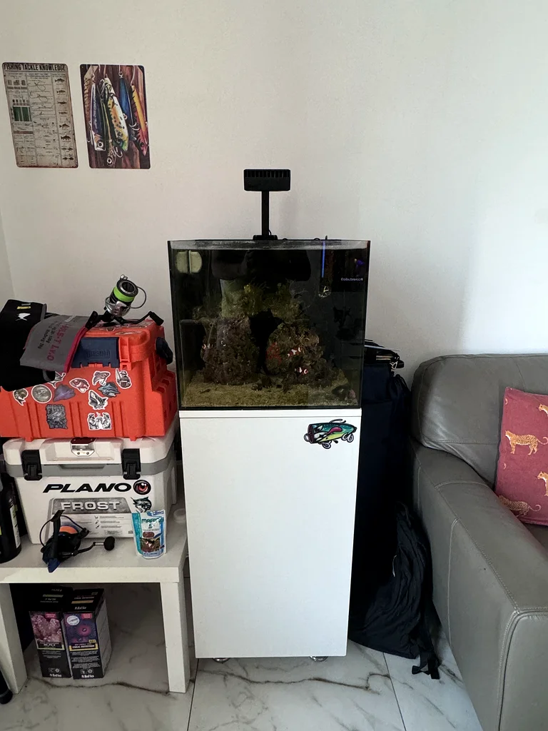 Waterbox Cube saltwater Aquarium set (Saltwater)629306502867231111