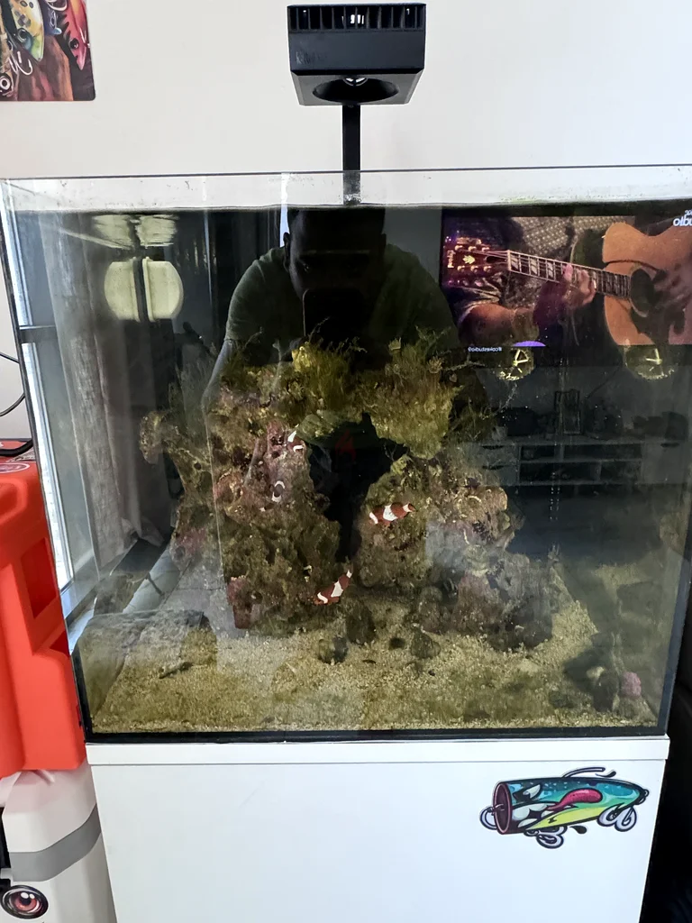 Waterbox Cube saltwater Aquarium set (Saltwater)62930650286723111