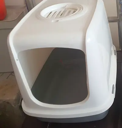 Big Litter Box