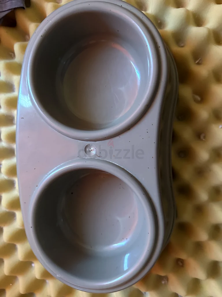 Cat food bowl63264078072579111
