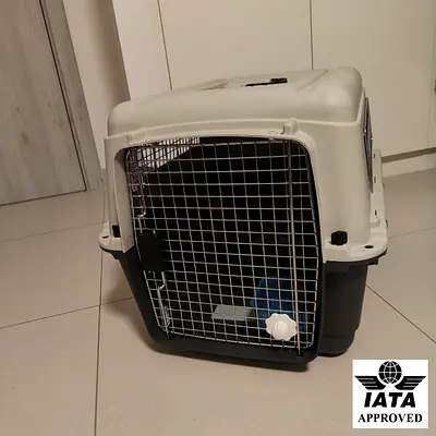 IATA Approved Cat Dog Pet Kennel – German Quality