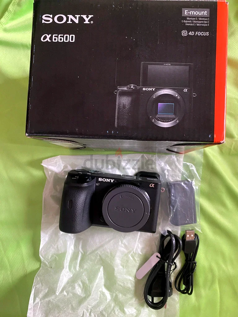 sony A6600 mirrorless camera