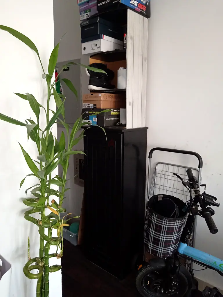 Shoe rack