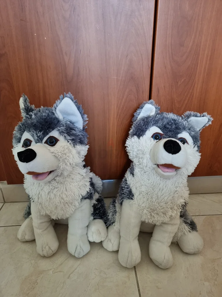 Husky plushy soft toy and hand warmer628638245820171115