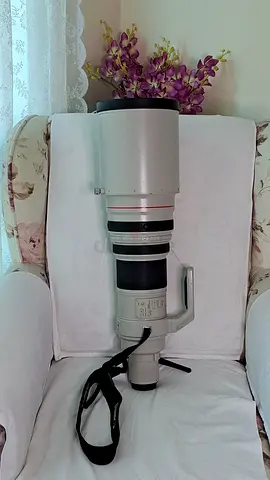 Canon EF 600mm f/4L IS USM