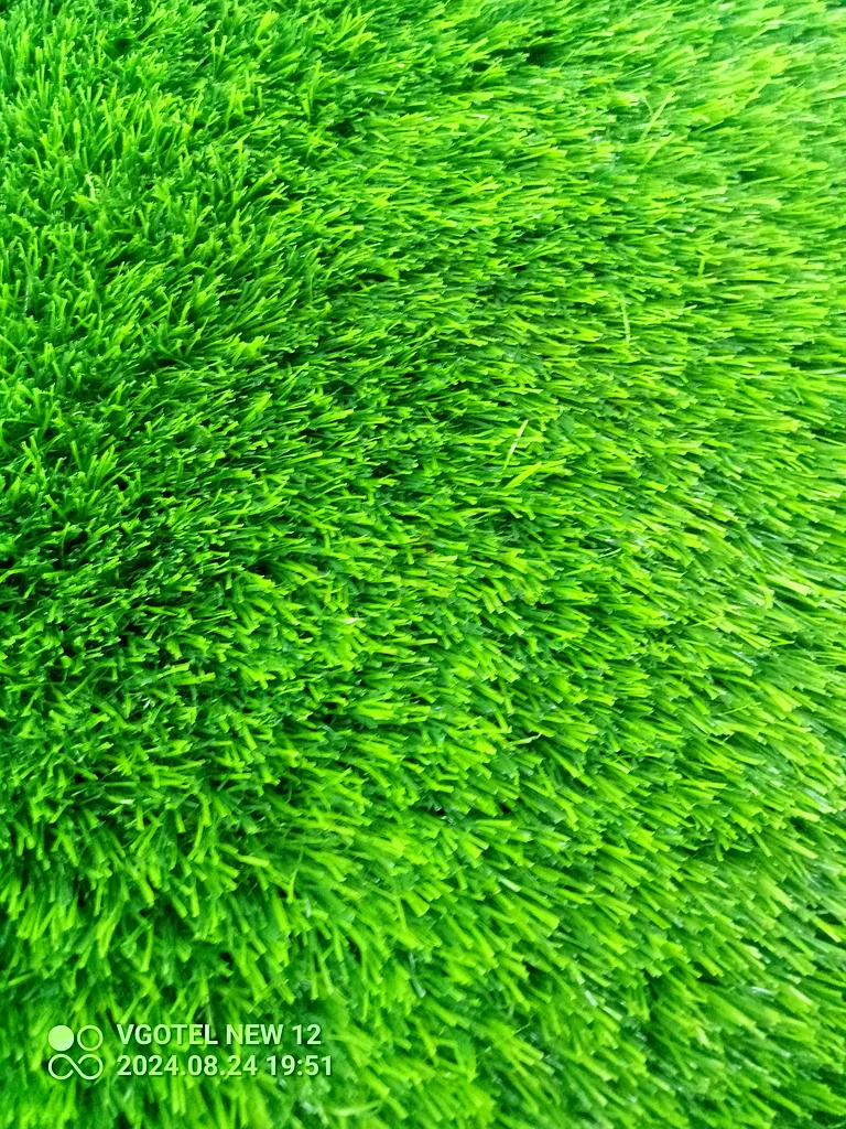 Artificial Grass