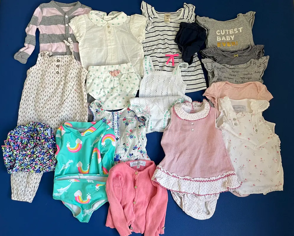 Baby girl clothes size 9 months