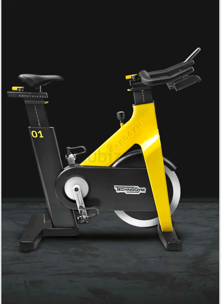 Technogym Group Cycle