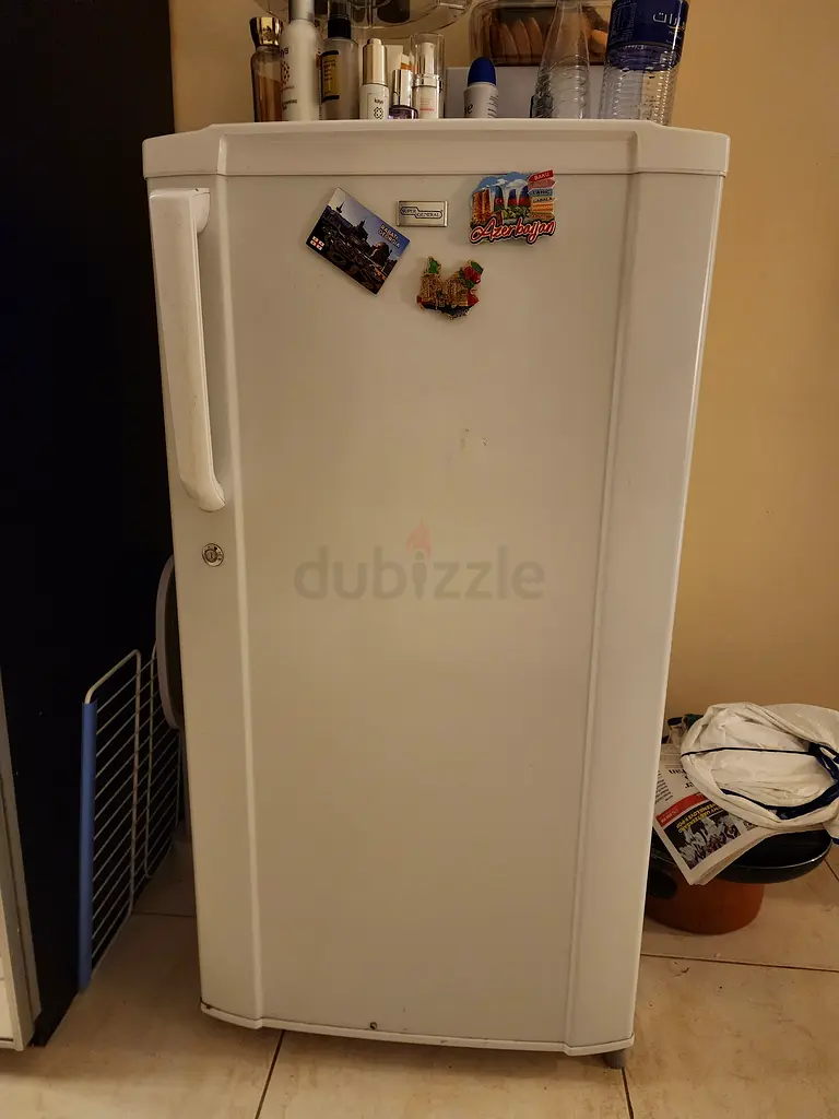 Small Fridge