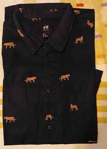 HM Shirt